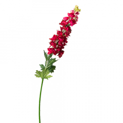 Люпин, красный (8721-020)