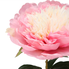 Пион (95 см) (016FS-PK1)