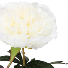 Пион (85 см) (016FS-WT)