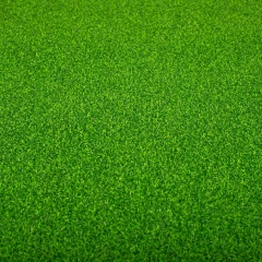 Искусственная трава, 1 м. кв. (9173-009)