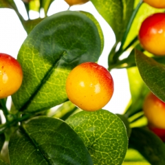 Фруктова гілка із жовтими ягодами, 36 см. (8001-003)