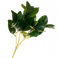 Ветвь Фикуса (8001-010)