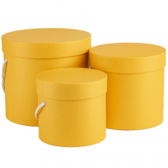 УЦІНКА Набір з 3 коробок "Сонячні дива" (Прим