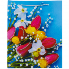 Подарочный пакет "Тюльпаны", 18*26 см (18925-023)