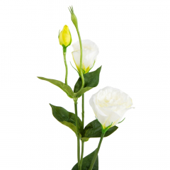 Эустома "Айлин", белая, 67 см (9160-049)