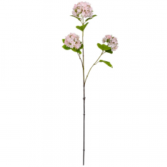 Гортензия "Аура", розовая, 80 см (9160-055)