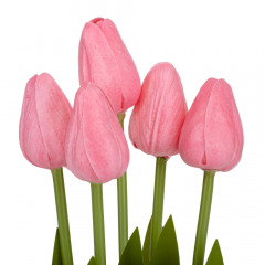 Букет тюльпанов "Рапсодия", розовый, 25,5 см (9129-014)