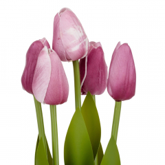 Букет тюльпанов "Рапсодия", фиолетовый, 25,5 см (9129-017)