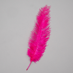 Страусиное перо 25-30 см ярко-фиолетовый (8501-002/bright-purple)