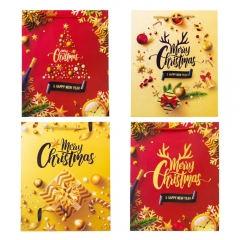 Подарочный пакет "Christmas", 26*32 см * Рандомный выбор дизайна (9165-011)