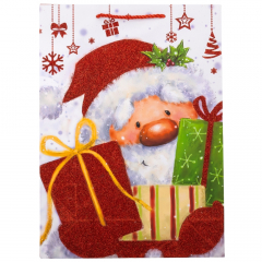 Подарочный пакет "Подарок от Санты", 30*41,5 см * Рандомный выбор дизайна (9165-015)