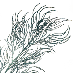 Ветка ивы волнистая серо-голубая искусственная (8408-040)