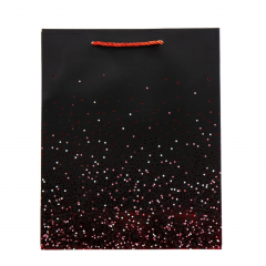 Подарунковий пакет "Яскраві миті", 26*32 см (9069-028)