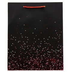 Подарочный пакет "Яркие моменты", 30*41,5 см (9069-029)