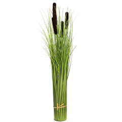 Декоративный камыш, коричневый (8931-024)