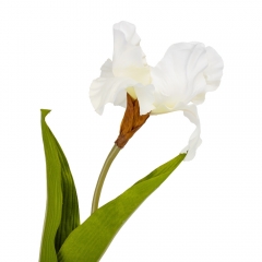Цветок искусственный "Ирис белый" (2000-014WT)