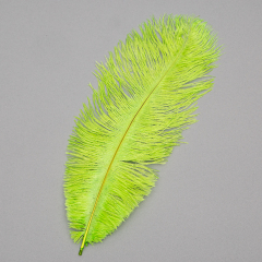 Страусиное перо 25-30 см салатовый (8501-002/light-green)