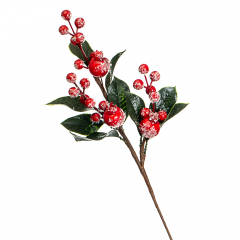 Ветка "Вечнозеленое растение с ягодами" (027NM)
