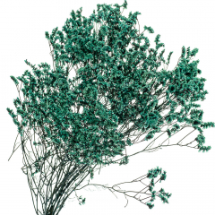 Кермек Синій, стабілізований (8213-055)