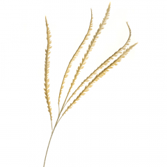 Декоративная ветка, бежевая (8725-029)