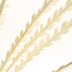 Декоративная ветка, белая (8725-030)