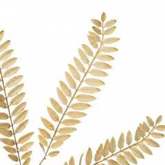 Декоративная ветка, бежевая (8725-031)