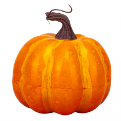 Осенний декор "Тыква", 10 см (9130-013)