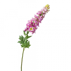 Люпин, сиреневый (8721-018)