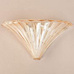 Люстра бра настінна у формі черепашки медового кольору на 3 лампи (SN007/3)