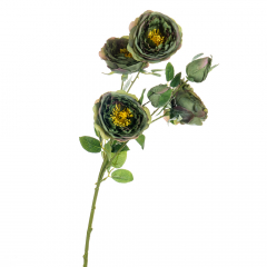 Букет "Полевые пионы зеленые" (8114-004)