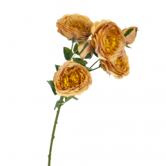 Букет "Полевые пионы оранжевые" (8114-008)