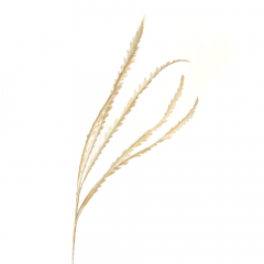 Декоративна гілка, біла (8725-015)