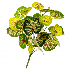 Веточка Филодендрона (2001-007)