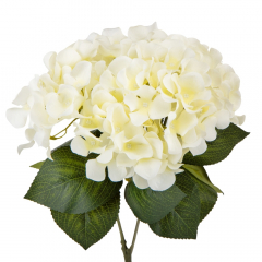 Гортензия "Эльза", белая, 48 см (9105-007)