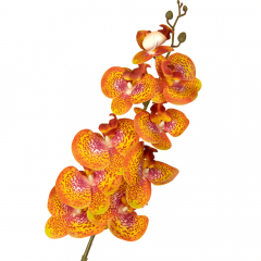 Орхідея 106 см., Помаранчева (8701-009)