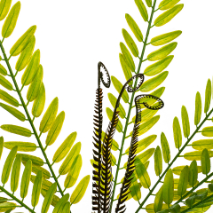 Ветвь папоротника зелёно-желтая искусственная (8408-054)