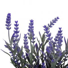 Искусственный букет "Лаванда", 37 см (9170-002)