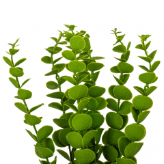 Искусственная ветвь "Эвкалипт", 45 см (9170-005)