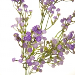 Искусственная зелень, фиолетовая (8723-020)