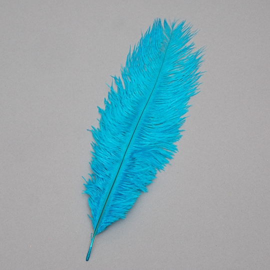 Страусиное перо 25-30 см голубой (8501-002/light-blue)